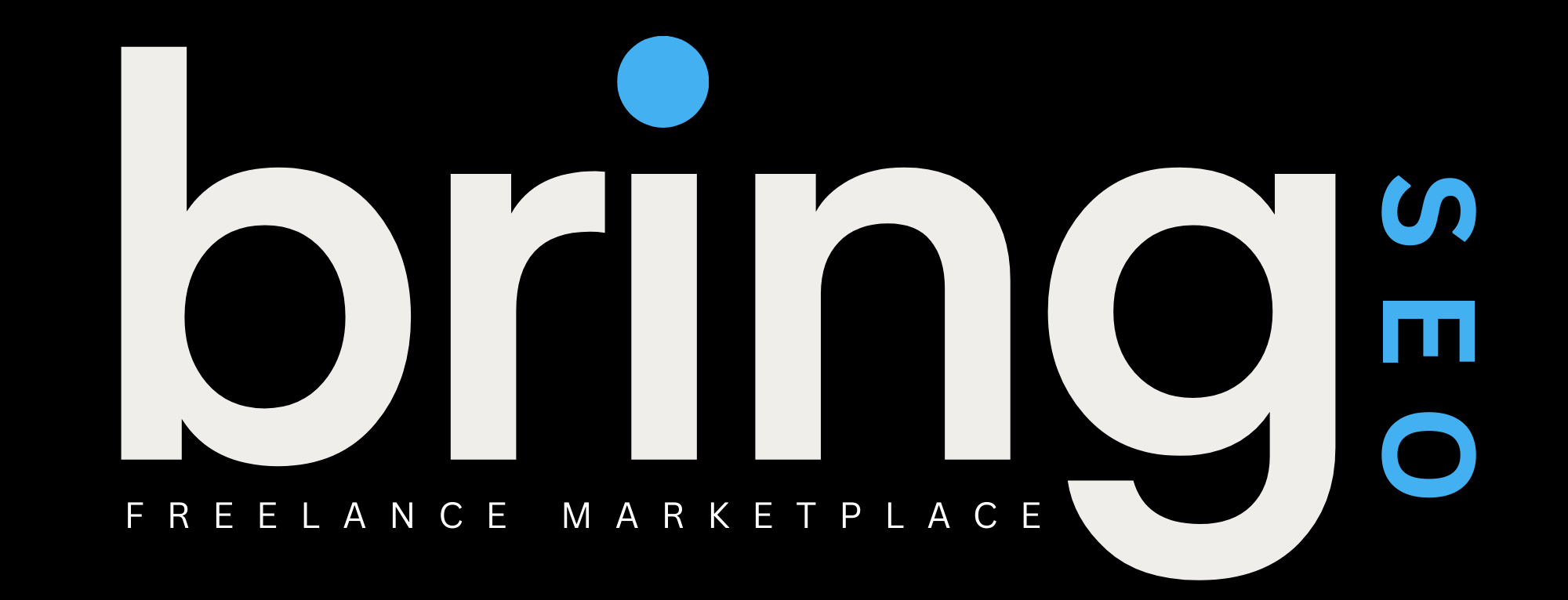 bring seo google review